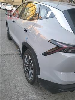 جيتور داشينج